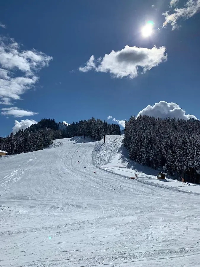 Hotel Albergo Usignolo Auronzo di Cadore